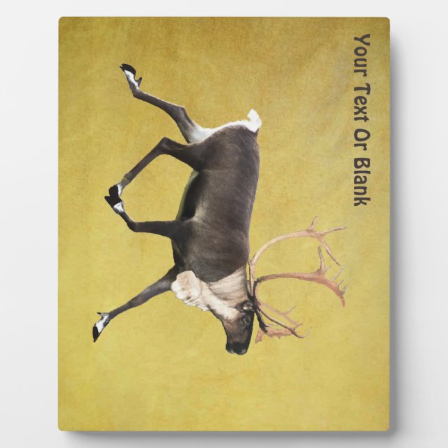 Plaque Photo Bull Caribou (Devant)