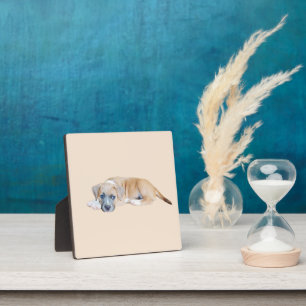 Plaque Photo Bull Terrier Puppy Chillout Time