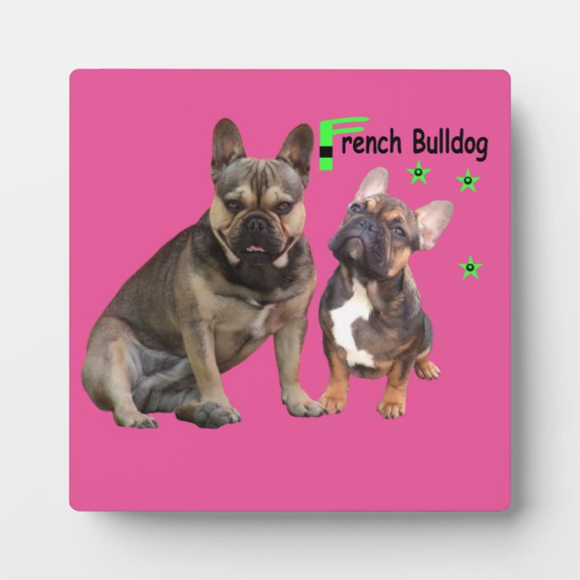 Plaque Photo Bulldog français (Devant)