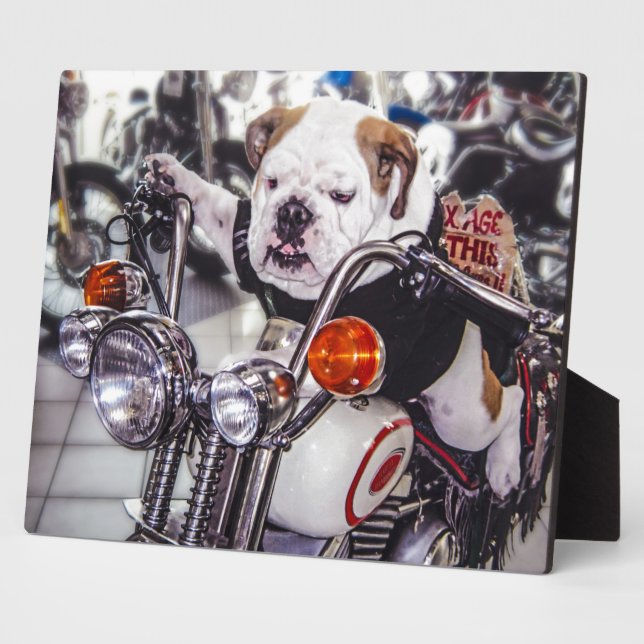 Plaque Photo Bulldog sur moto (Côté)