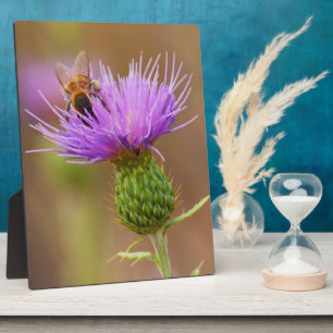 Plaque Photo Busy Bee On Purple Thistle