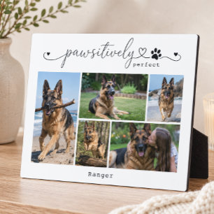 Plaque Photo Cadeau de cinq photos de compagnie blanche absolum