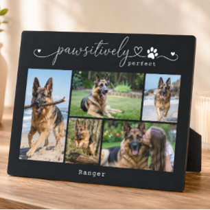Plaque Photo Cadeau de cinq photos de compagnie noire absolumen