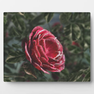 Plaque photo cadeau de parting d'hiver