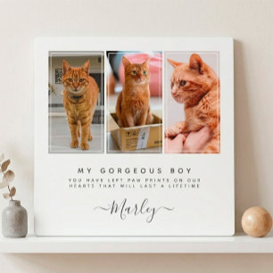 Plaque Photo Cadeau de perte d'animal de compagnie pour chien e