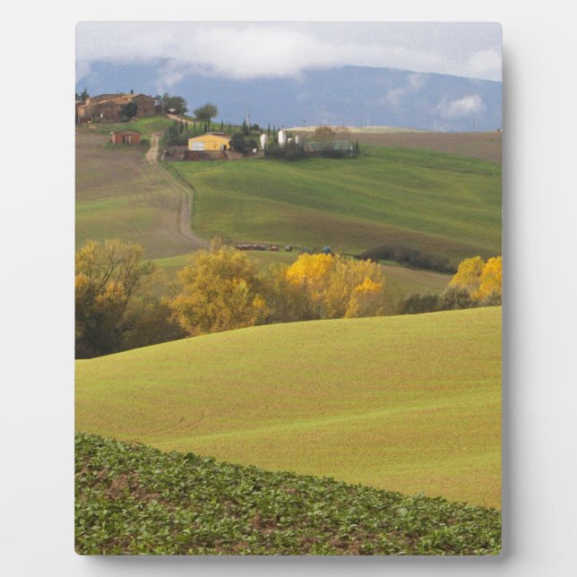 Plaque Photo Campagne toscane verte (Devant)