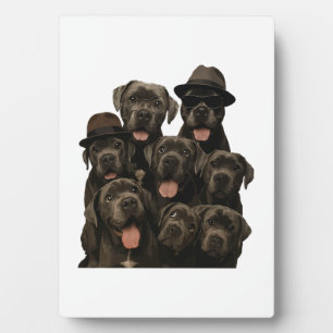 Plaque Photo Cane Corso
