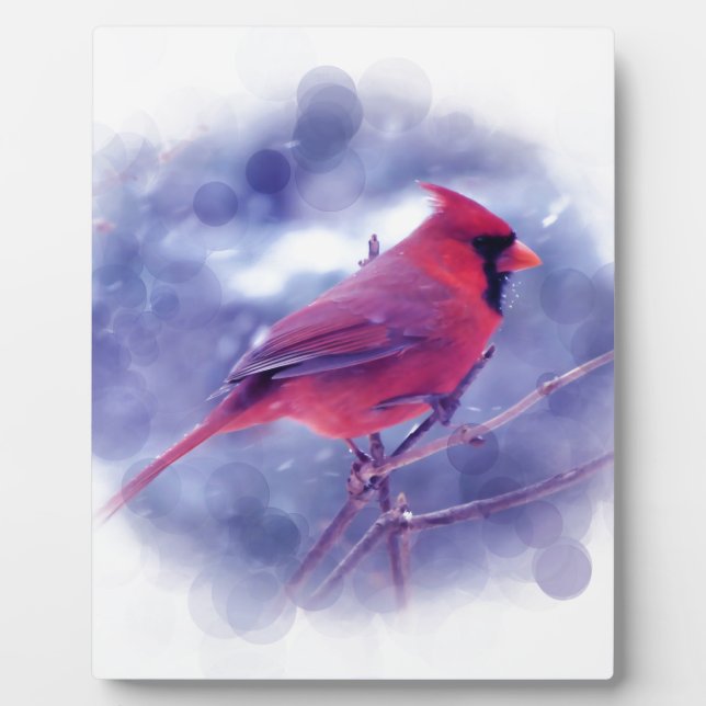 Plaque Photo Cardinal rouge au Blizzard (Devant)