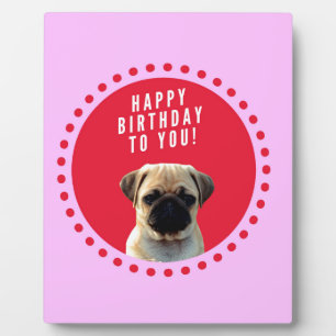 Plaque Photo Carlin mignon Chien Chien Heureux Anniversaire Chi