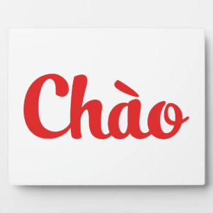 Plaque Photo Chào / Hello ~ Vietnam / Vietnamien / Tiêt Viêt