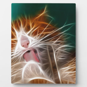 Plaque Photo chat chaton minous mignon animal familier ronron m