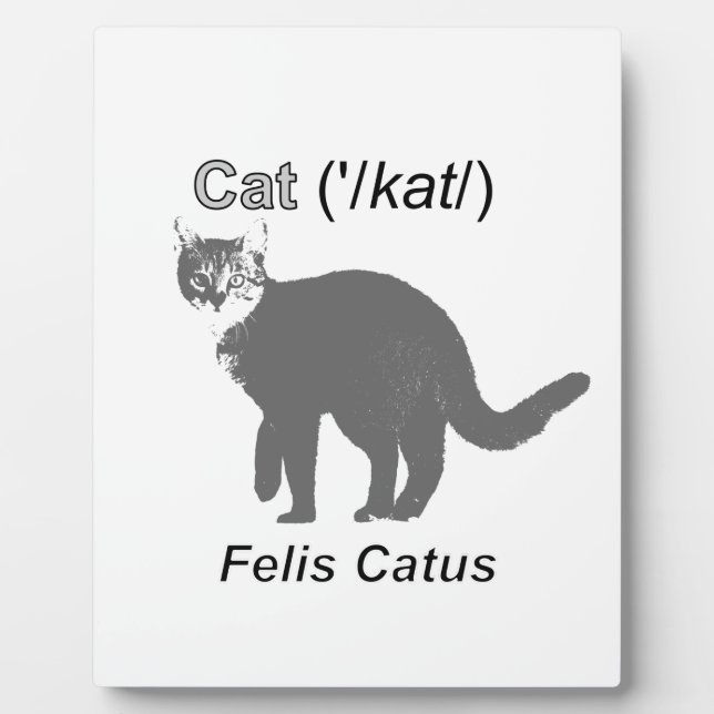 Plaque Photo Chat Felis Catus (Devant)