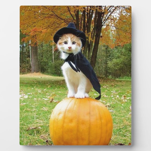 Plaque Photo Chat Halloween Sur Un Citrouille Orange (Devant)