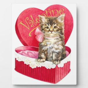 Plaque Photo Chaton dans une boîte de bonbons