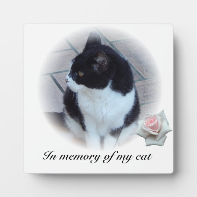 Plaque Photo Chats (Devant)