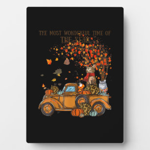 Plaque Photo Chats Automne Camion plein Citrouille Automne Arbr