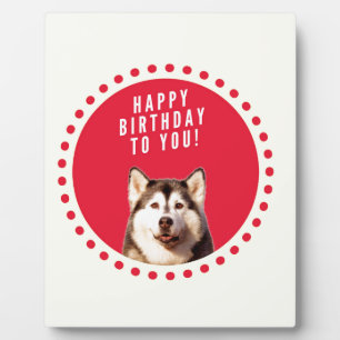 Plaque Photo Chatte Sibérien Husky Chien Joyeux Anniversaire
