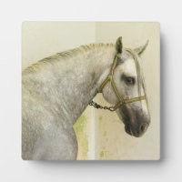 Cheval andalou grise