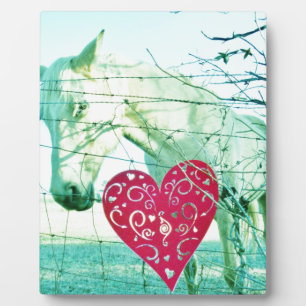 Plaque Photo Cheval Blanc Coeur Rouge Saint Valentin