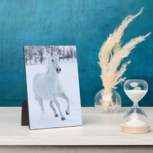Plaque Photo Cheval blanc courant dans la neige