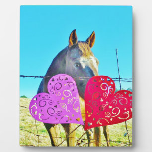 Plaque Photo Cheval blanc et Brown Valentine Coeurs