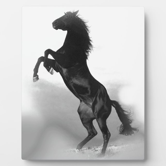 Plaque Photo Cheval blanc noir (Devant)