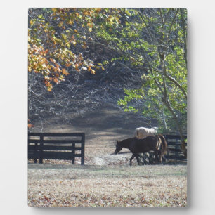 Plaque Photo Cheval Brown à pied à travers la clôture