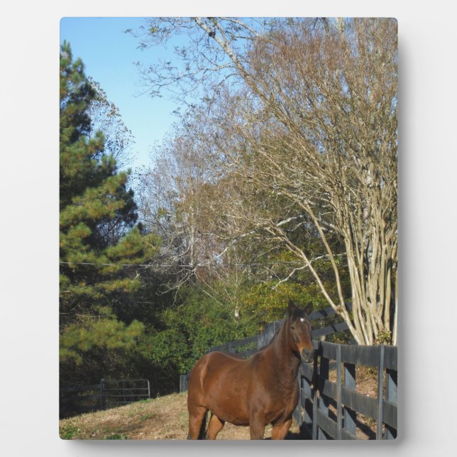 Plaque Photo Cheval Brown contre une clôture (Devant)