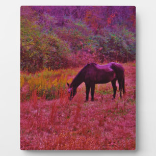 Plaque Photo Cheval dans un champ de couleur Kaleidoscope