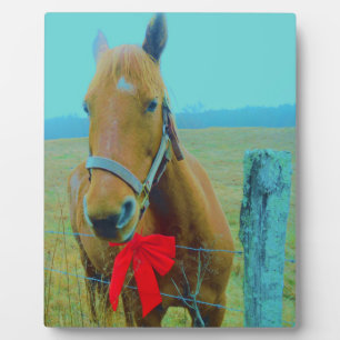 Plaque Photo Cheval de Noël rétro