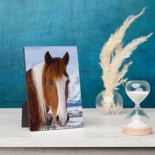 Plaque Photo Cheval Pinto Mount Moran en hiver