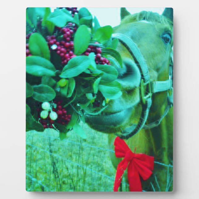 Plaque Photo Cheval Turquoise Mistletoe de Noël (Devant)
