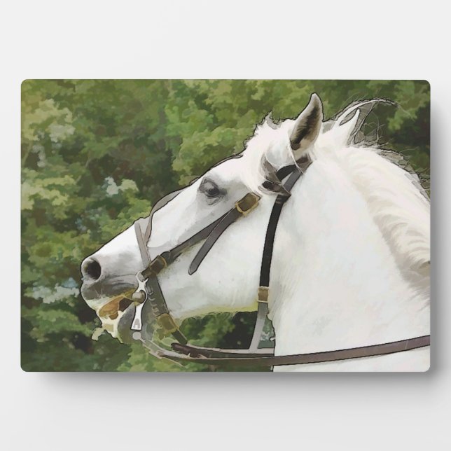 PLAQUE PHOTO CHEVAUX (Devant)