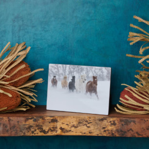 Plaque Photo Chevaux courant à travers la neige