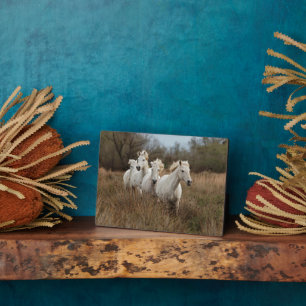 Plaque Photo Chevaux de Camargue courant