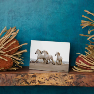 Plaque Photo Chevaux de Camargue courant sur la plage