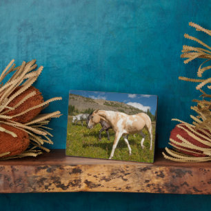 Plaque Photo Chevaux et Mules