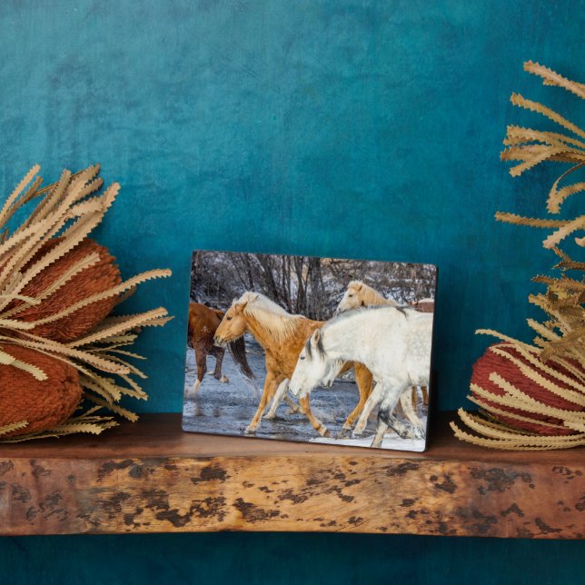 Plaque Photo Chevaux traversant le ruisseau (Côté)
