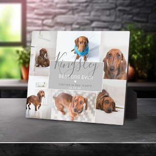 Plaque Photo Chic meilleur chien jamais   Photo Collage Perte d