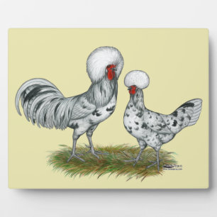 Plaque Photo Chickens de Polish