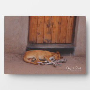 Plaque Photo Chien au repos