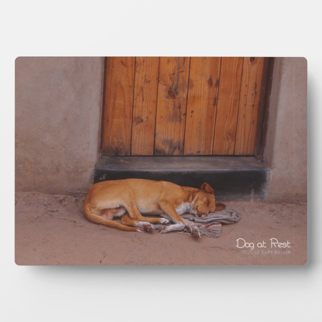 Plaque Photo Chien au repos (Devant)