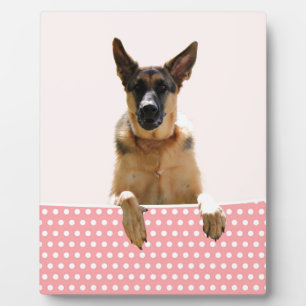 Plaque Photo Chien berger allemand Pois roses