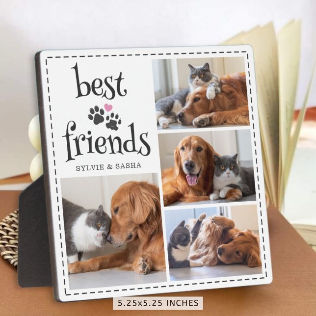 Plaque Photo Chien Chat Meilleurs Amis Empreintes 4 Photos Pers (Créateur téléchargé)