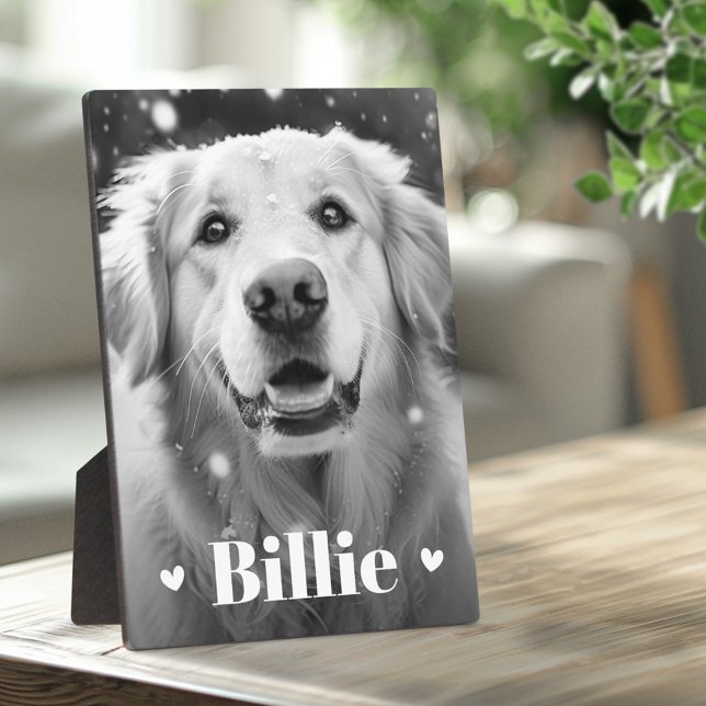 Plaque Photo Chien chat nom coeurs (Pet dog cat name hearts plaque)