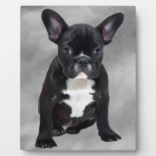 Plaque Photo Chien de taureau français assis aquarelle peinture
