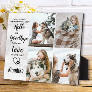 Plaque Photo Chien Mémorial Animaux de compagnie Perte Souvenir