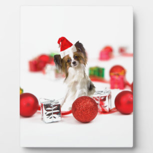 Plaque Photo Chien Papillon Mignon Chapeau de Noël Santa