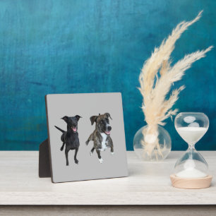 Plaque Photo Chiens de Carlos