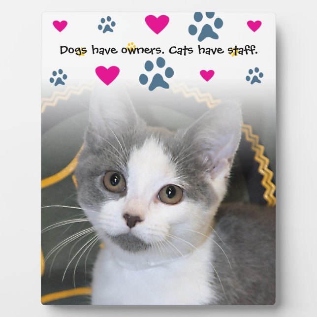 Plaque Photo Chiens Ont Propriétaires-Chats Ont Personnel (Devant)